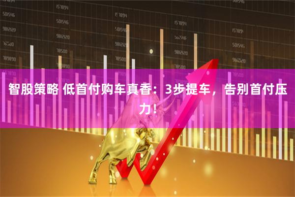 智股策略 低首付购车真香：3步提车，告别首付压力！